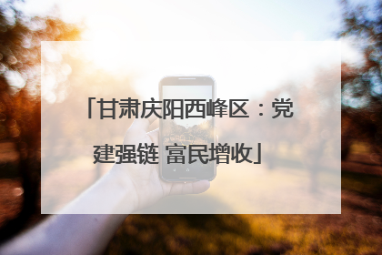 甘肃庆阳西峰区：党建强链 富民增收