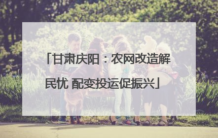 甘肃庆阳：农网改造解民忧 配变投运促振兴