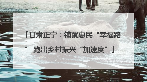 甘肃正宁：铺就惠民“幸福路” 跑出乡村振兴“加速度”