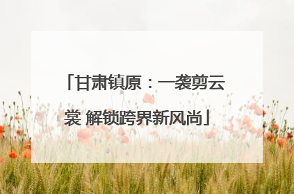 甘肃镇原：一袭剪云裳 解锁跨界新风尚