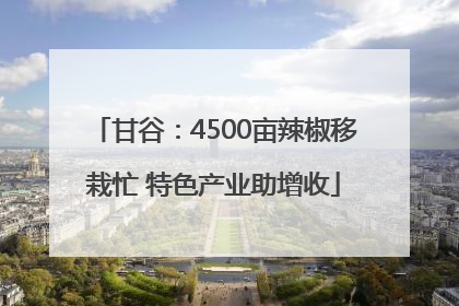 甘谷：4500亩辣椒移栽忙 特色产业助增收