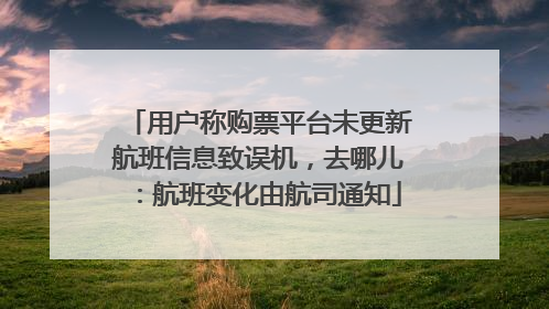 用户称购票平台未更新航班信息致误机，去哪儿：航班变化由航司通知