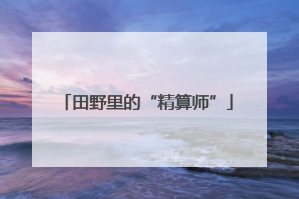 田野里的“精算师”