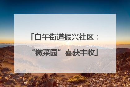 白午街道振兴社区：“微菜园”喜获丰收