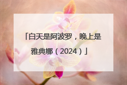 白天是阿波罗，晚上是雅典娜（2024）