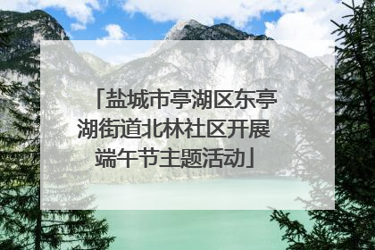 盐城市亭湖区东亭湖街道北林社区开展端午节主题活动