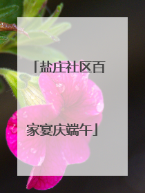 盐庄社区百家宴庆端午
