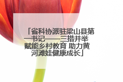 省科协派驻梁山县第一书记——三措并举 赋能乡村教育 助力黄河滩娃健康成长