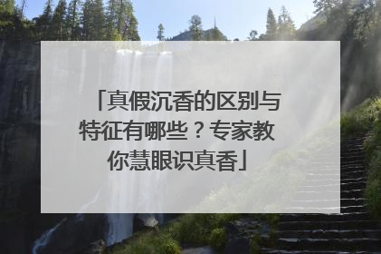 真假沉香的区别与特征有哪些？专家教你慧眼识真香