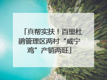 真帮实扶！百里杜鹃管理区两村“威宁鸡”产销两旺