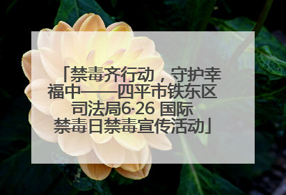 禁毒齐行动，守护幸福中——四平市铁东区司法局6·26 国际禁毒日禁毒宣传活动