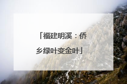 福建明溪：侨乡绿叶变金叶