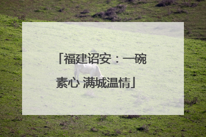 福建诏安：一碗素心 满城温情