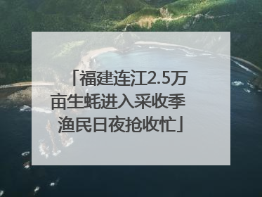 福建连江2.5万亩生蚝进入采收季 渔民日夜抢收忙