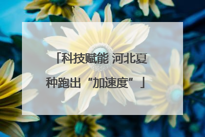 科技赋能 河北夏种跑出“加速度”