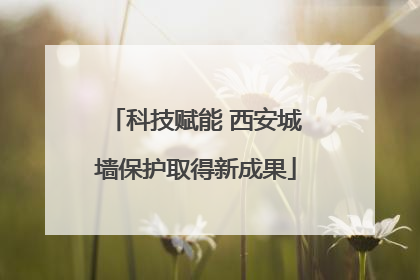 科技赋能 西安城墙保护取得新成果