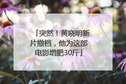 突然！黄晓明新片撤档，他为这部电影增肥30斤
