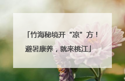 竹海秘境开“凉”方！避暑康养，就来桃江