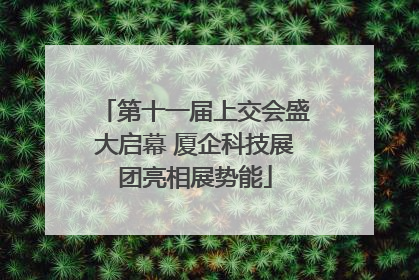 第十一届上交会盛大启幕 厦企科技展团亮相展势能