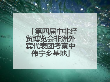 第四届中非经贸博览会非洲外宾代表团考察中伟宁乡基地