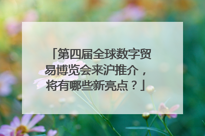 第四届全球数字贸易博览会来沪推介，将有哪些新亮点？