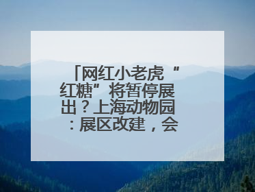 网红小老虎“红糖”将暂停展出？上海动物园：展区改建，会安排展出计划