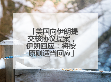 美国向伊朗提交核协议提案，伊朗回应：将按原则适当回应