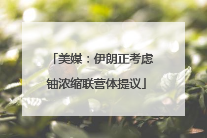 美媒：伊朗正考虑铀浓缩联营体提议