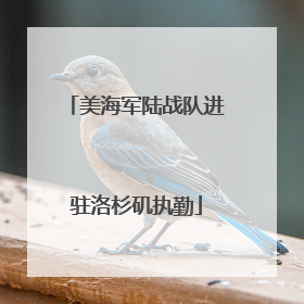 美海军陆战队进驻洛杉矶执勤