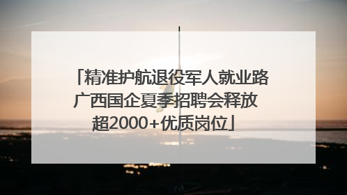 精准护航退役军人就业路 广西国企夏季招聘会释放超2000+优质岗位