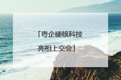 粤企硬核科技亮相上交会