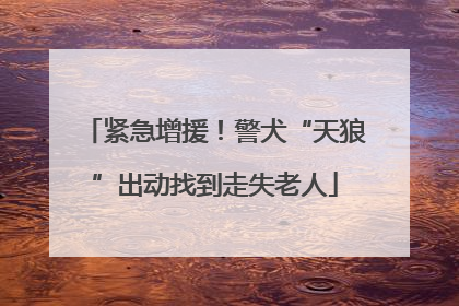 紧急增援！警犬“天狼”出动找到走失老人