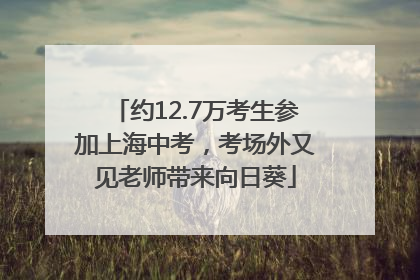 约12.7万考生参加上海中考，考场外又见老师带来向日葵