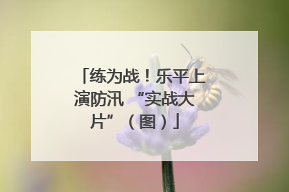 练为战！乐平上演防汛 “实战大片”（图）