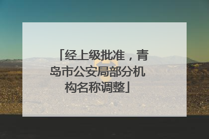 经上级批准，青岛市公安局部分机构名称调整