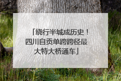 绕行半城成历史！四川自贡单跨跨径最大特大桥通车