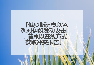 俄罗斯谴责以色列对伊朗发动攻击，普京以在线方式获取冲突报告
