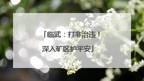 临武：打非治违！深入矿区护平安