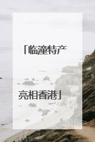 临潼特产亮相香港