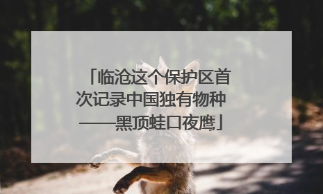 临沧这个保护区首次记录中国独有物种——黑顶蛙口夜鹰
