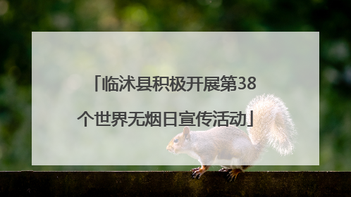 临沭县积极开展第38个世界无烟日宣传活动
