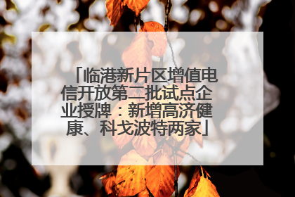 临港新片区增值电信开放第二批试点企业授牌：新增高济健康、科戈波特两家