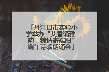 丹江口市实验小学举办“艾香诵雅韵，粽情寄端阳”端午诗歌朗诵会