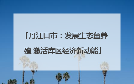 丹江口市：发展生态鱼养殖 激活库区经济新动能