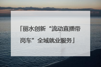 丽水创新“流动直播带岗车”全域就业服务