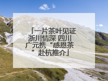 一片茶叶见证浙川情深 四川广元携“感恩茶”赴杭推介