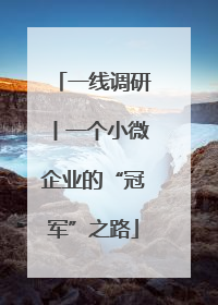 一线调研丨一个小微企业的“冠军”之路