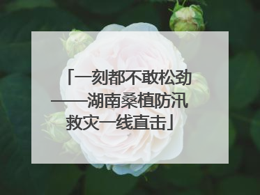 一刻都不敢松劲——湖南桑植防汛救灾一线直击