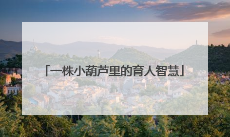 一株小葫芦里的育人智慧