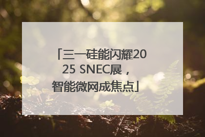 三一硅能闪耀2025 SNEC展，智能微网成焦点